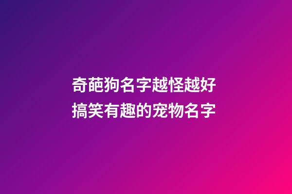 奇葩狗名字越怪越好 搞笑有趣的宠物名字